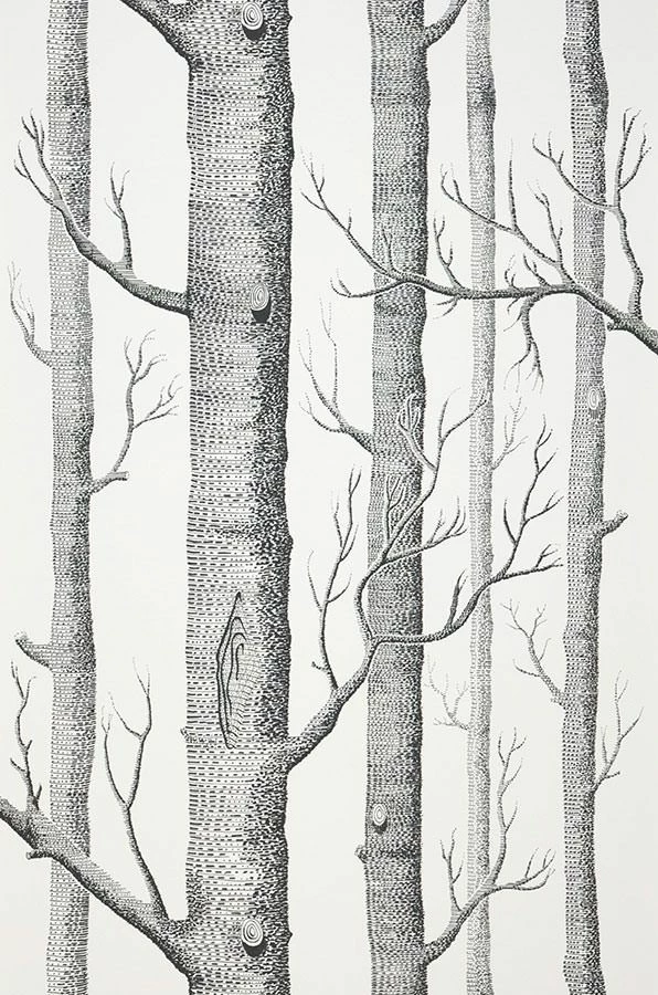 Tapete Birch Forest Schwarz 4 Tapete Birch Forest Schwarz – Bild 2