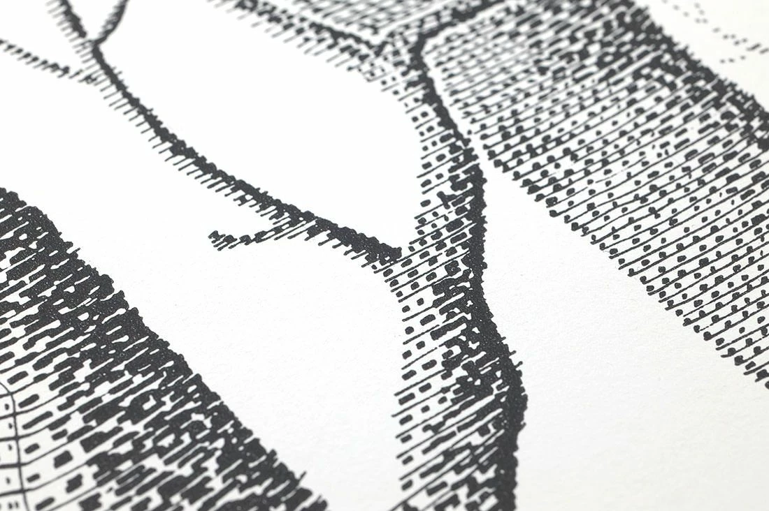 Tapete Birch Forest Schwarz 5 Tapete Birch Forest Schwarz – Bild 3