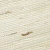 Tapete Grasscloth 02 Hellelfenbein -Geschaft Tapeten 250262 1 grasscloth 02 2880x1440