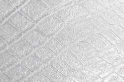Tapete Reptile 01 Weissaluminium -Geschaft Tapeten 250991 B Reptile 01 2880x1440