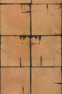 Tapete Scrapwood 09 Orangebraun 5 Tapete Scrapwood 09 Orangebraun -Geschaft Tapeten 270159 Scrapwood09 2880x1440