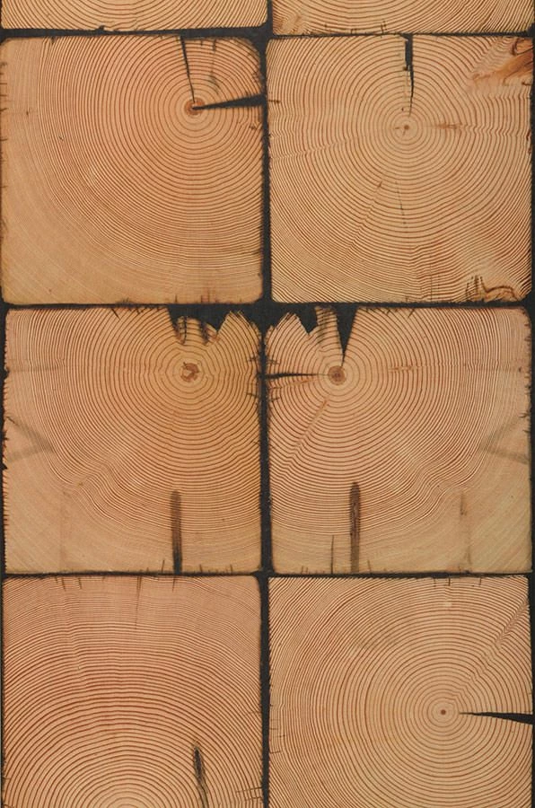 Tapete Scrapwood 09 Orangebraun 4 Tapete Scrapwood 09 Orangebraun – Bild 2