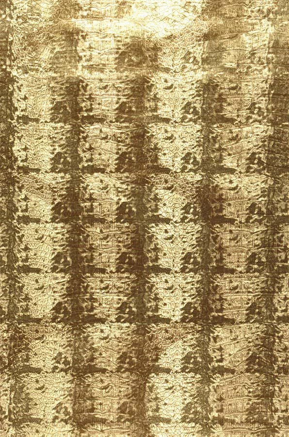 Tapete Rio Crocodillo Braun 4 Tapete Rio Crocodillo Braun – Bild 2