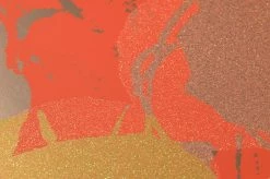 Tapete Andy Warhol - Flowers Lachsorange 7 Tapete Andy Warhol - Flowers Lachsorange -Geschaft Tapeten 320221 1 Andy Warhol Flowers 2880x1440