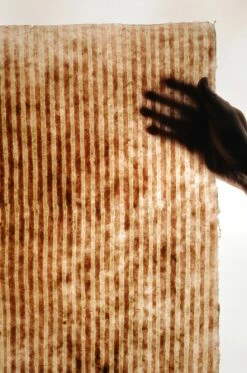 Tapete Jambhala Zartrosa -Geschaft Tapeten 325110 C Jambhala 2880x1440