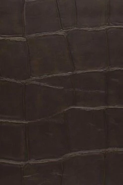 Tapete Croco 06 Dunkelbraun -Geschaft Tapeten 345106 croco06 2880x1440