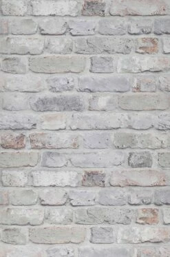 Tapete Castor Blassbraun -Geschaft Tapeten 390562 Castor 2880x1440