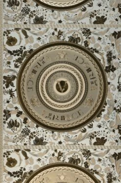 Versace Tapete Venus Brauntöne -Geschaft Tapeten 411013 A Venus 2880x1440