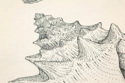 Ferm LIVING Tapete Shells Cremeweiss -Geschaft Tapeten 420253 B Shells 2880x1440