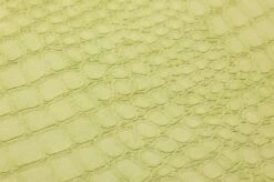 Tapete Caiman Hellgelbgrün