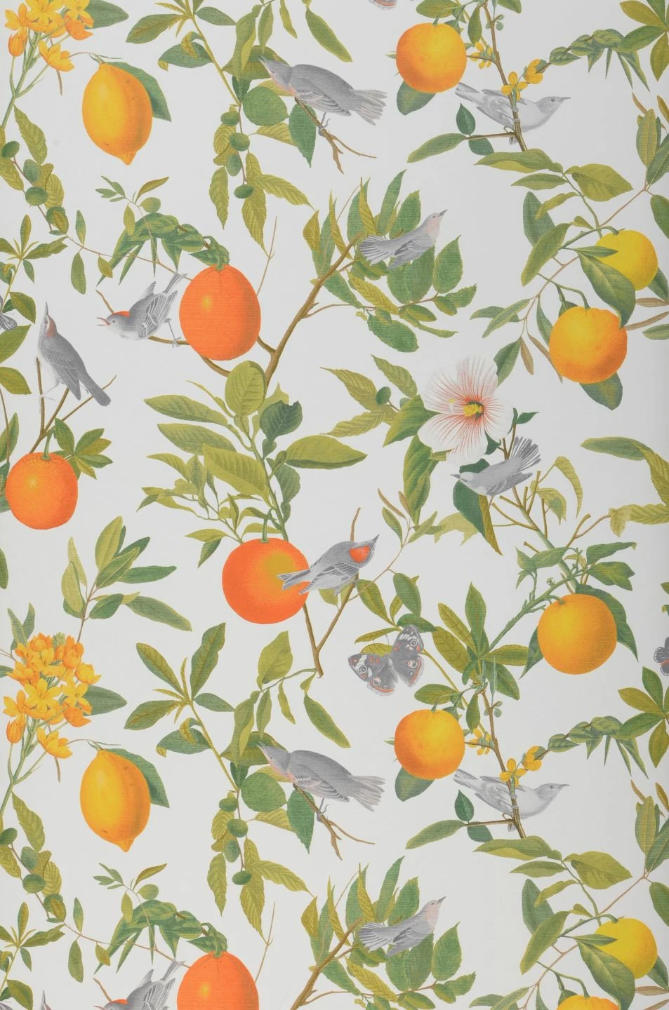 Tapete Imari Weiss 3 Tapete Imari Weiss