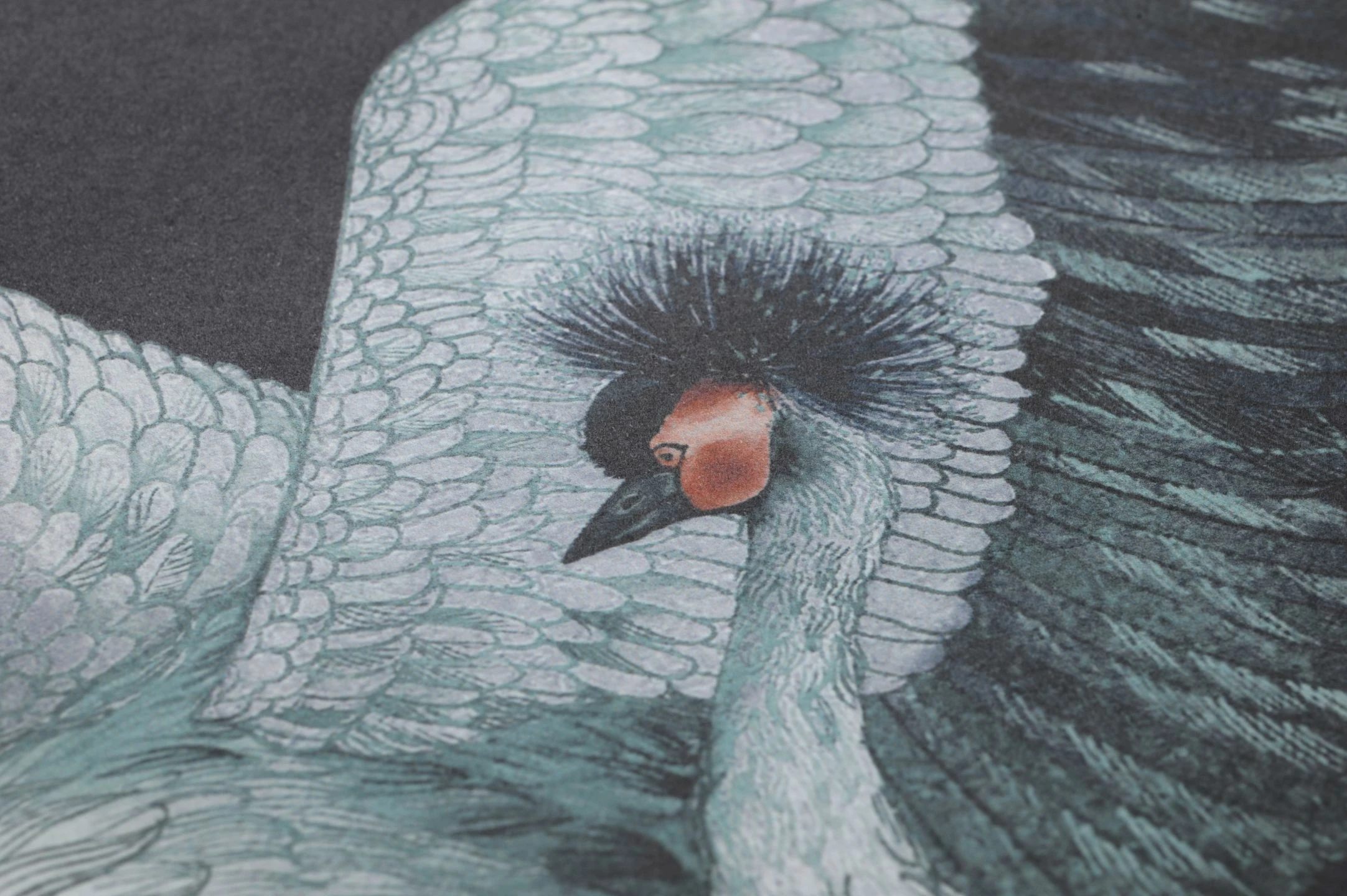 Tapete Kimora Schwarzblau 5 Tapete Kimora Schwarzblau – Bild 3