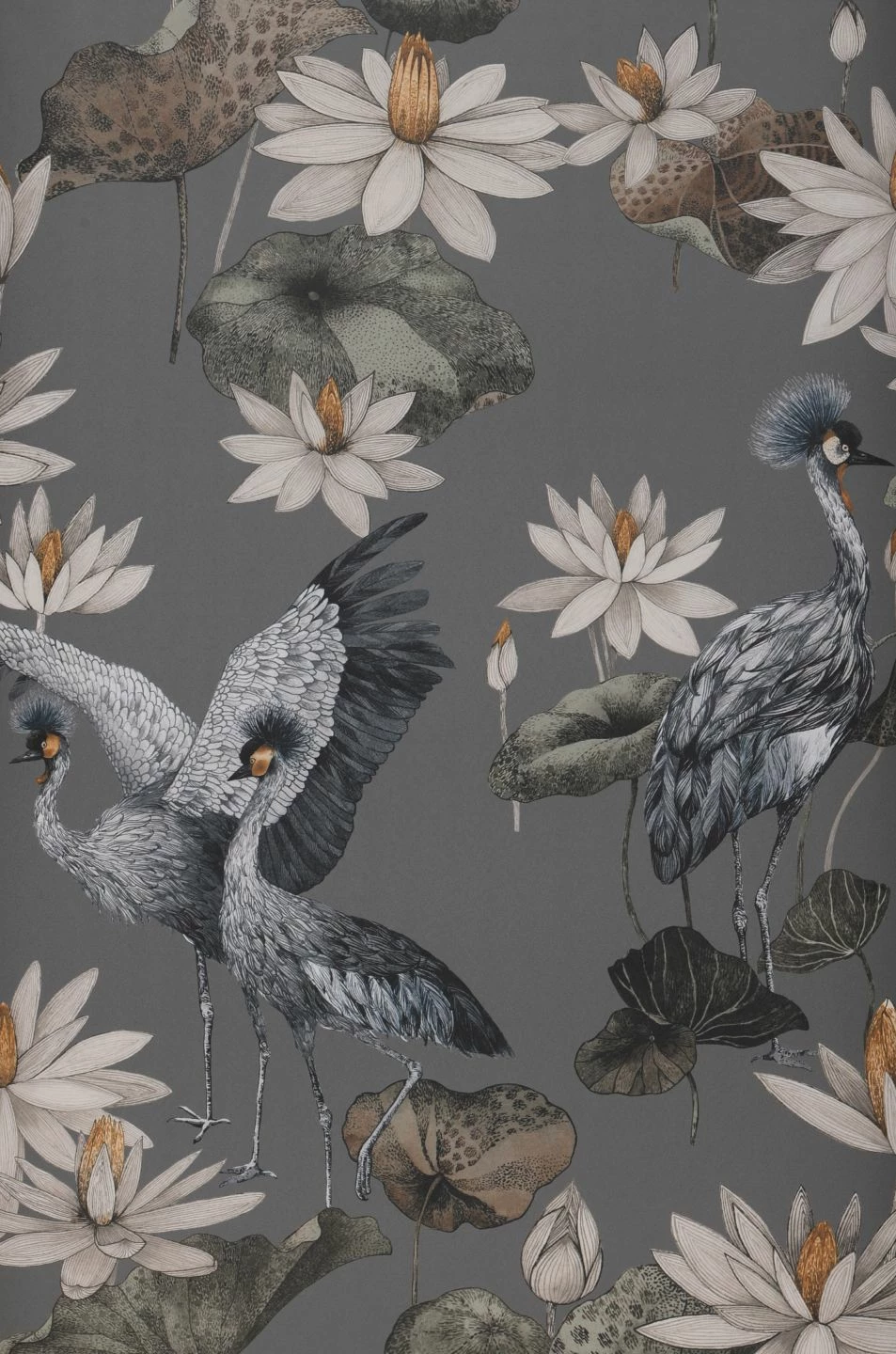 Tapete Kimora Dunkelgrau 4 Tapete Kimora Dunkelgrau – Bild 2