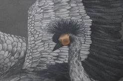 Tapete Kimora Dunkelgrau 8 Tapete Kimora Dunkelgrau -Geschaft Tapeten 431703 B Kimora 2880x1440