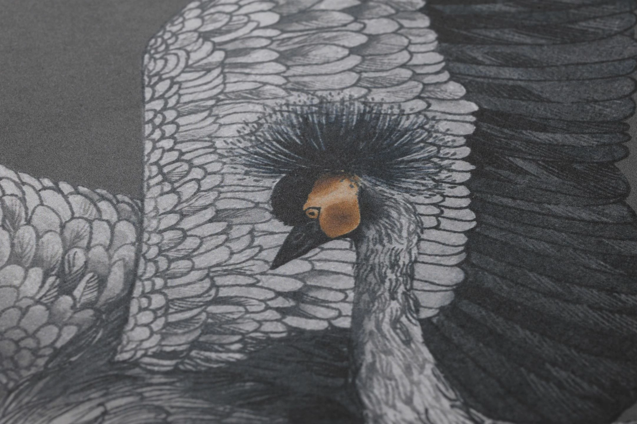 Tapete Kimora Dunkelgrau 5 Tapete Kimora Dunkelgrau – Bild 3