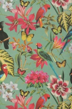 Tapete Mambo Blassgrün -Geschaft Tapeten 431831 A Mambo 2880x1440