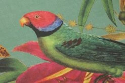 Tapete Mambo Blassgrün -Geschaft Tapeten 431831 B Mambo 2880x1440