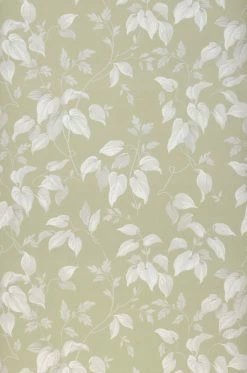 Tapete Inaya Blassgrün 6 Tapete Inaya Blassgrün -Geschaft Tapeten 432071 Inaya 2880x1440