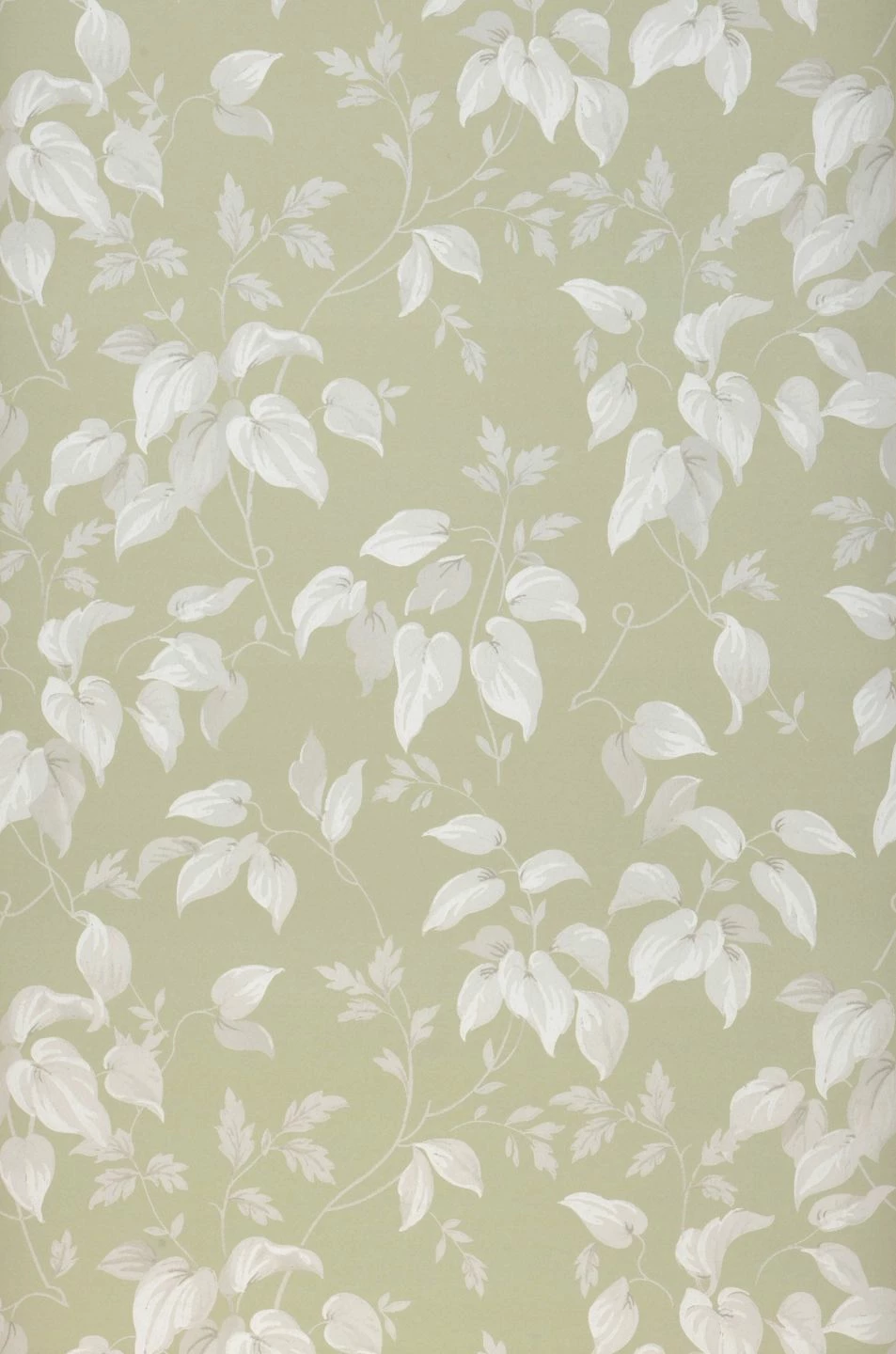 Tapete Inaya Blassgrün 4 Tapete Inaya Blassgrün – Bild 2