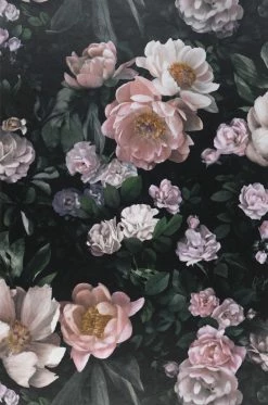 Tapete Sianna Schwarzgrün -Geschaft Tapeten 451241 Sianna 2880x1440