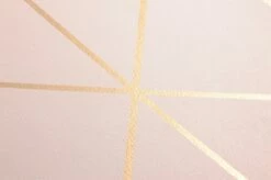 Tapete Biloba Zartrosa -Geschaft Tapeten 451371 B Biloba 2880x1440