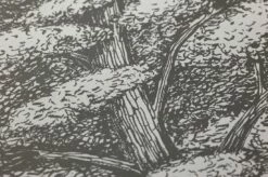 Tapete Roderik Braungrau -Geschaft Tapeten 461941 B Roderik 2880x1440