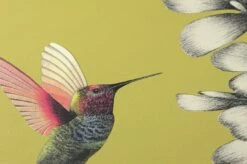 Tapete Gesine Grüngelb