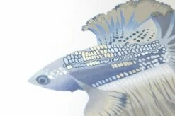 Tapete Servatius Cremeweiss 5 Tapete Servatius Cremeweiss -Geschaft Tapeten 462342 B Servatius 2880x1440