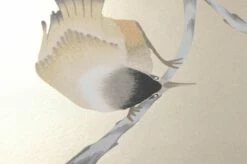 Tapete Francine Perlbeige -Geschaft Tapeten 462431 B Francine 2880x1440