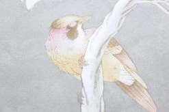 Tapete Verdura Cremeweiss Perlglanz -Geschaft Tapeten 462891 B Verdura 2880x1440