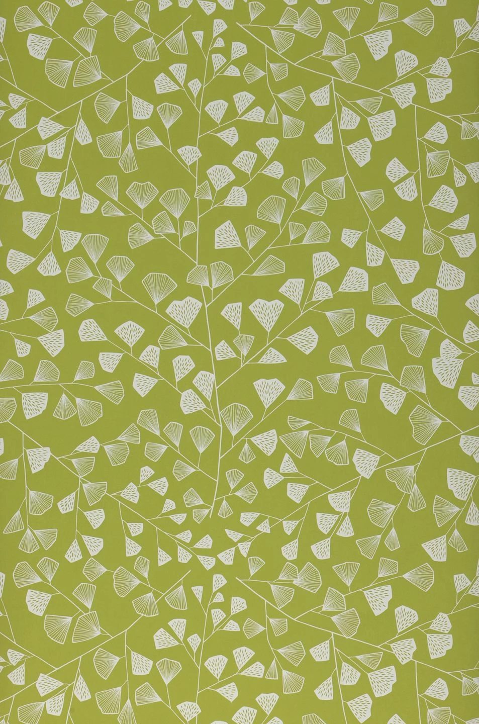 Tapete Fern Hellgrün 4 Tapete Fern Hellgrün – Bild 2