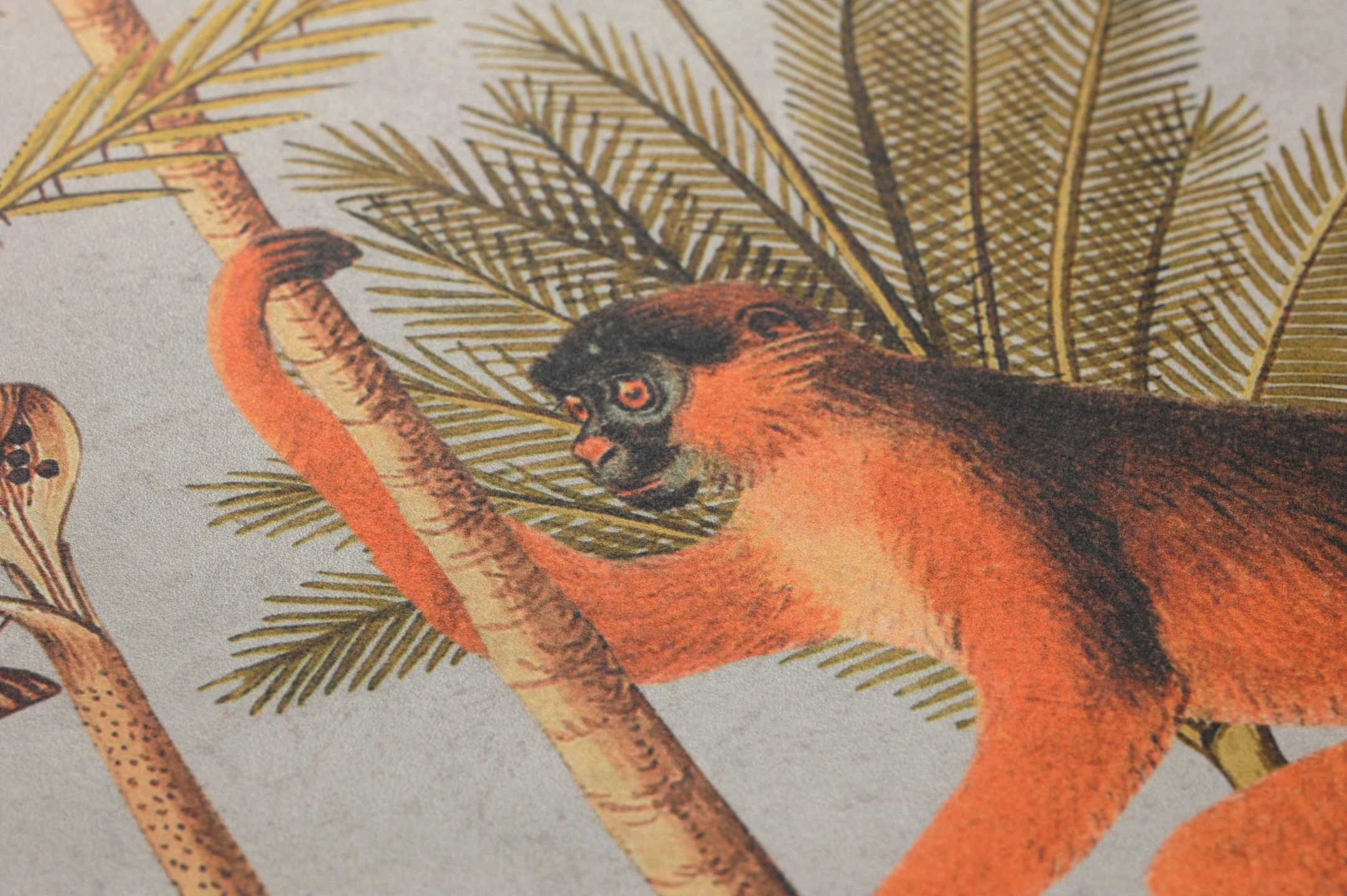 Wandbild Barbados Hellgrau 5 Wandbild Barbados Hellgrau – Bild 3