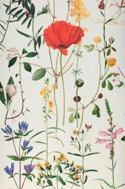 Wandbild Aquafleur Bunt -Geschaft Tapeten 725181 Aquafleur 2880x1440