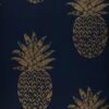 Tapete Ananas Saphirblau -Geschaft Tapeten 745221 A Ananas 2880x1440