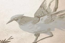 Tapete Coringa Perlbeige -Geschaft Tapeten 790391 B Coringa 2880x1440