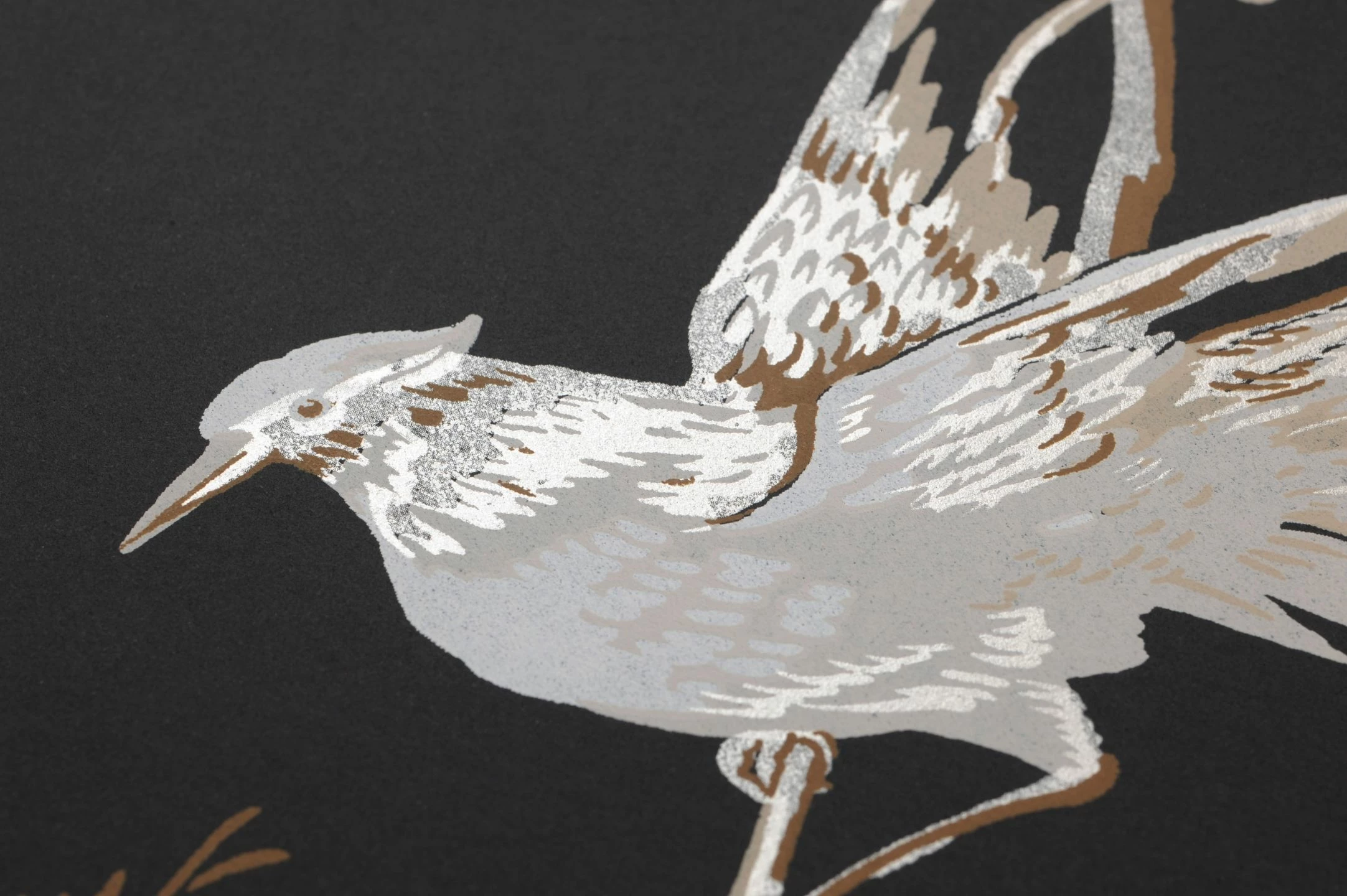 Tapete Coringa Schwarz 4 Tapete Coringa Schwarz – Bild 2