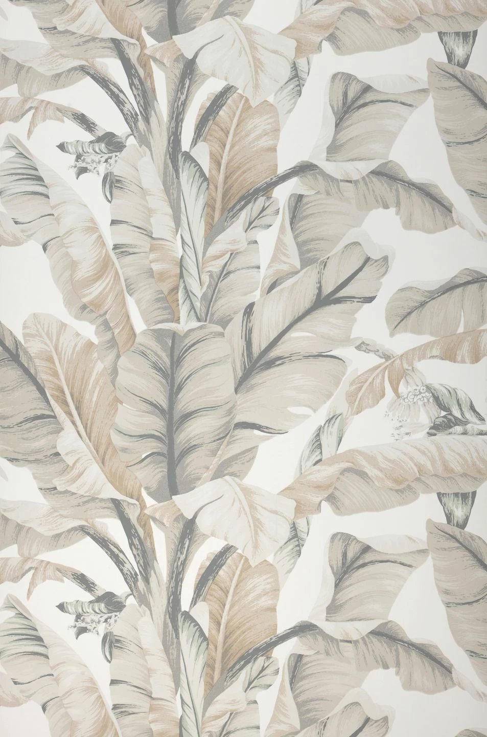 Tapete Belize Cremeweiss 4 Tapete Belize Cremeweiss – Bild 2