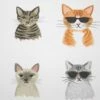 Selbstklebende Tapete Cool Cats Weiss -Geschaft Tapeten 790591 B Cool Cats 2880x1440