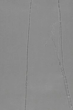 Tapete Big Crush 03 Grau -Geschaft Tapeten 863223 B Big Crush 03 2880x1440