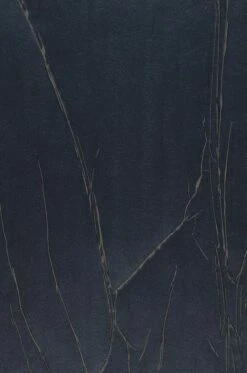 Tapete Crush Tree 02 Anthrazit -Geschaft Tapeten 863232 B Crush Tree 02 2880x1440