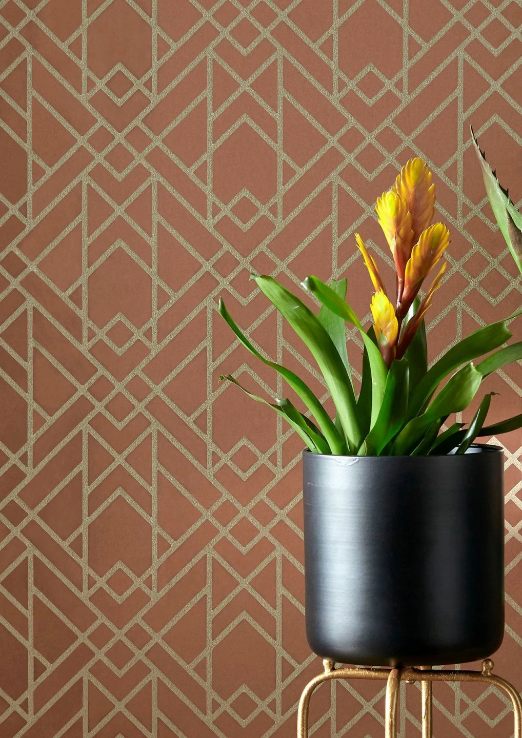 Tapete Baya Kupferbraun 3 Tapete Baya Kupferbraun