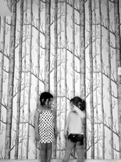 Tapete Birch Forest Schwarz 12 Tapete Birch Forest Schwarz -Geschaft Tapeten Birch Forest K 138101 2880x1440