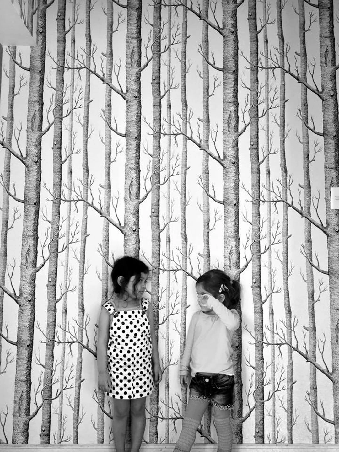 Tapete Birch Forest Schwarz 7 Tapete Birch Forest Schwarz – Bild 5