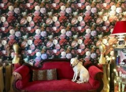 Tapete Doriana Schwarzgrau -Geschaft Tapeten Doriana L 821271 2880x1440