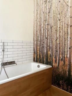 Wandbild Forest Grautöne -Geschaft Tapeten Forest K 390701 2880x1440