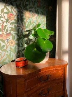 Tapete Jakobine Pastelltürkis Perlglanz -Geschaft Tapeten Jakobine P 461471 2880x1440