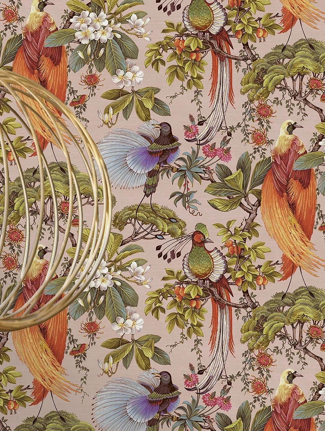 Tapete Limosa Hellrosa 3 Tapete Limosa Hellrosa