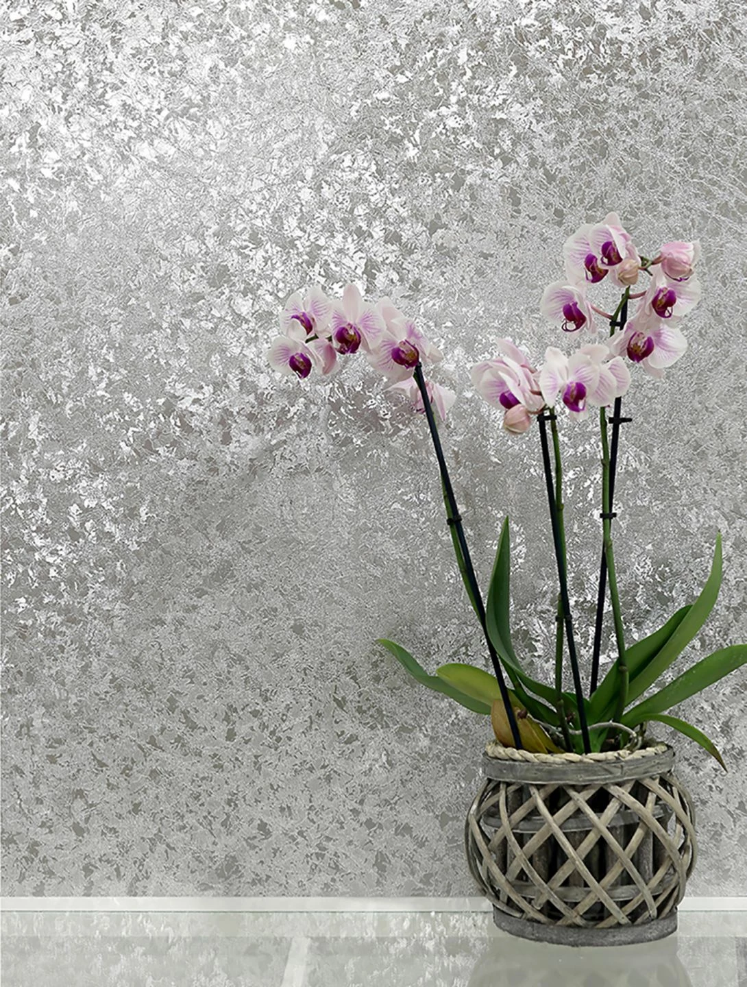 Tapete Lucinda Silber 3 Tapete Lucinda Silber