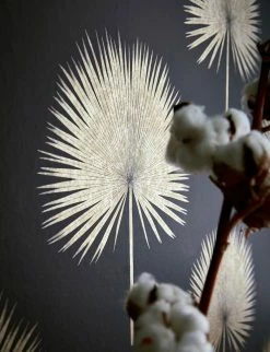 Tapete Lysander Schwarz -Geschaft Tapeten Lysander C 462681 2880x1440