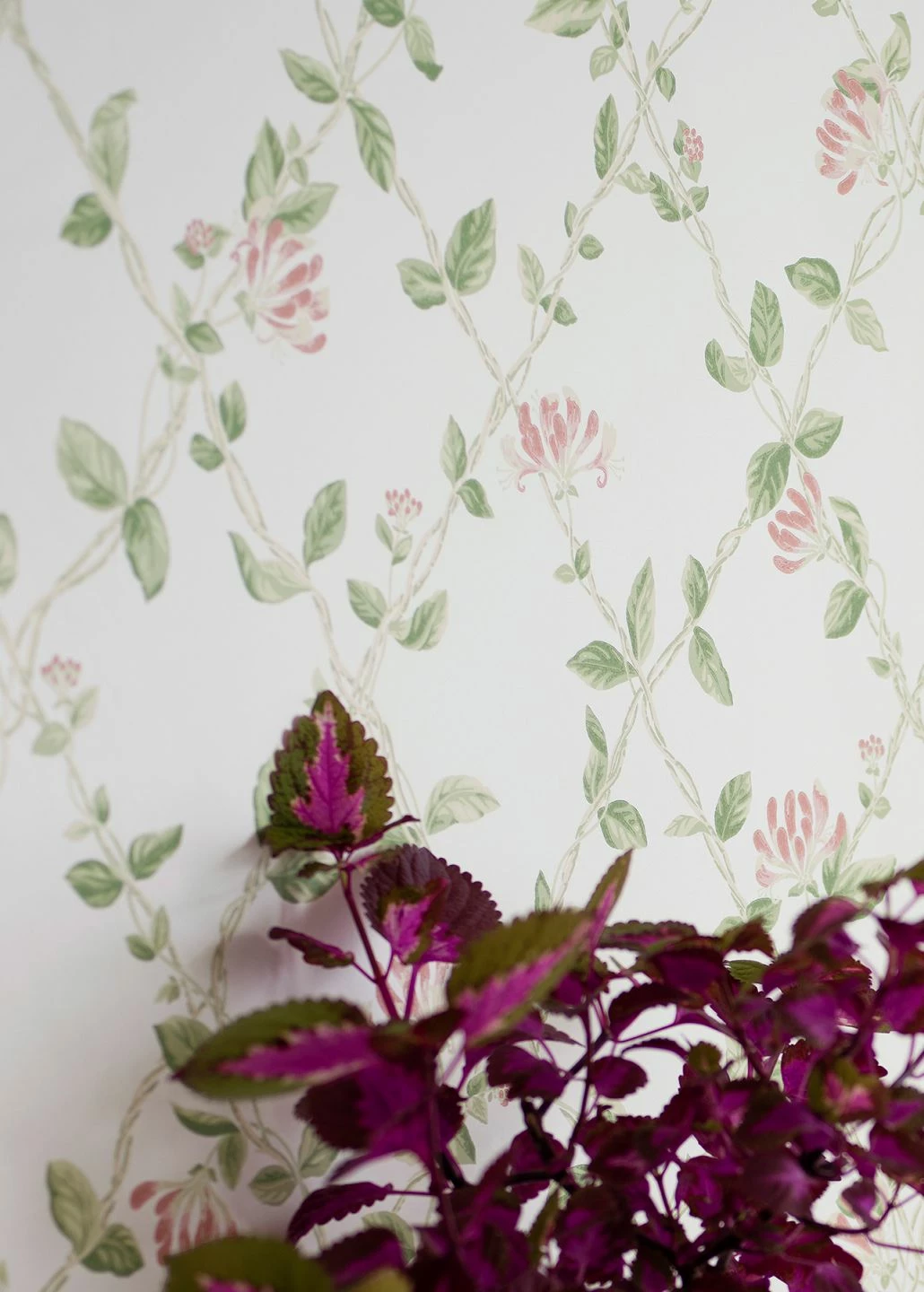 Tapete Midori Weiss 3 Tapete Midori Weiss